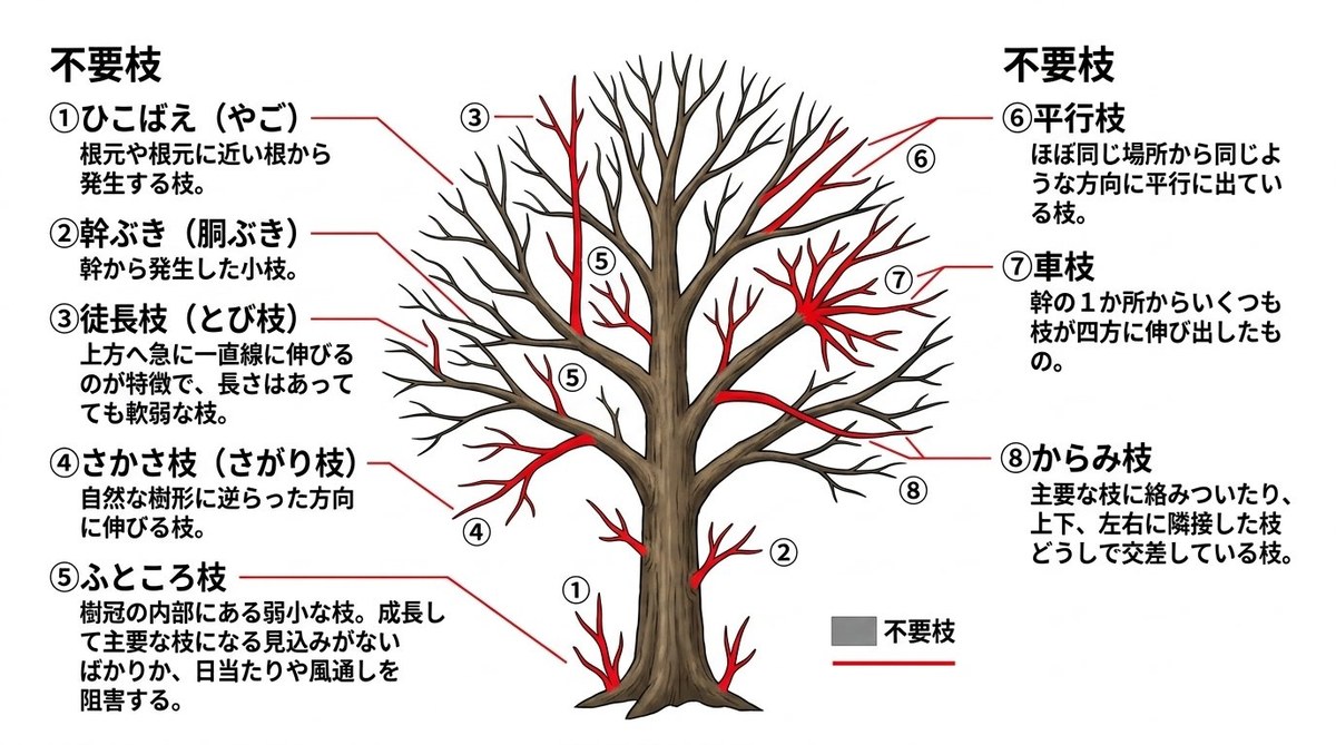 剪定で切るべき不要枝の種類図解